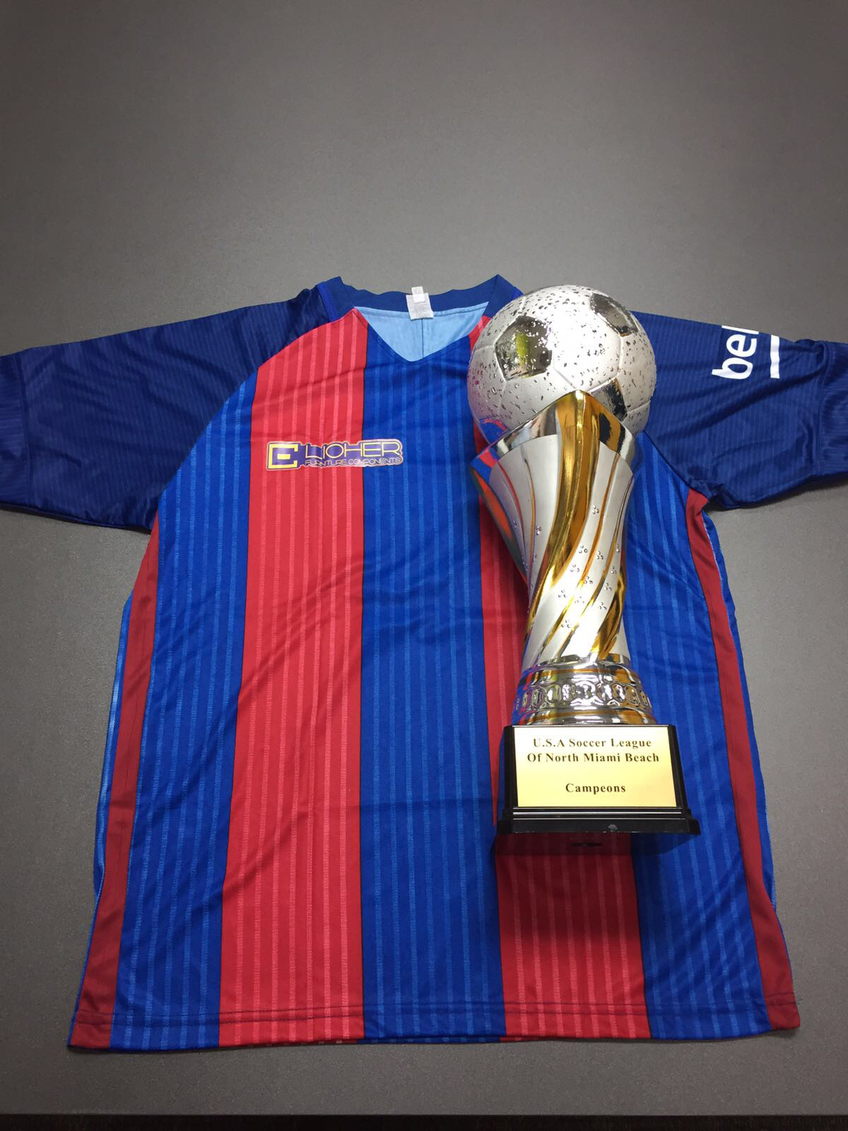 Lioher camiseta-y-copa RECOGNITION WHILE GIVING BACK TO OUR COMUNITY  