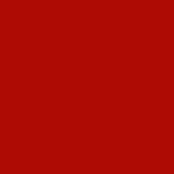 Lioher LSC-rojo Rojo  