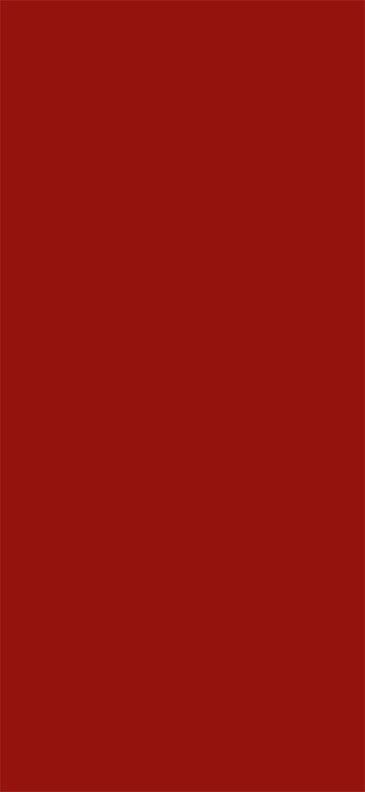 Lioher LSC-rojo Rojo  