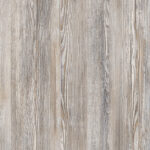 Lioher CAROLINA-PINE-150x150 Sales and Promotions  