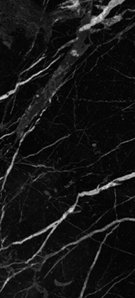 Lioher Palazzo_3171-278x612 Countertops  