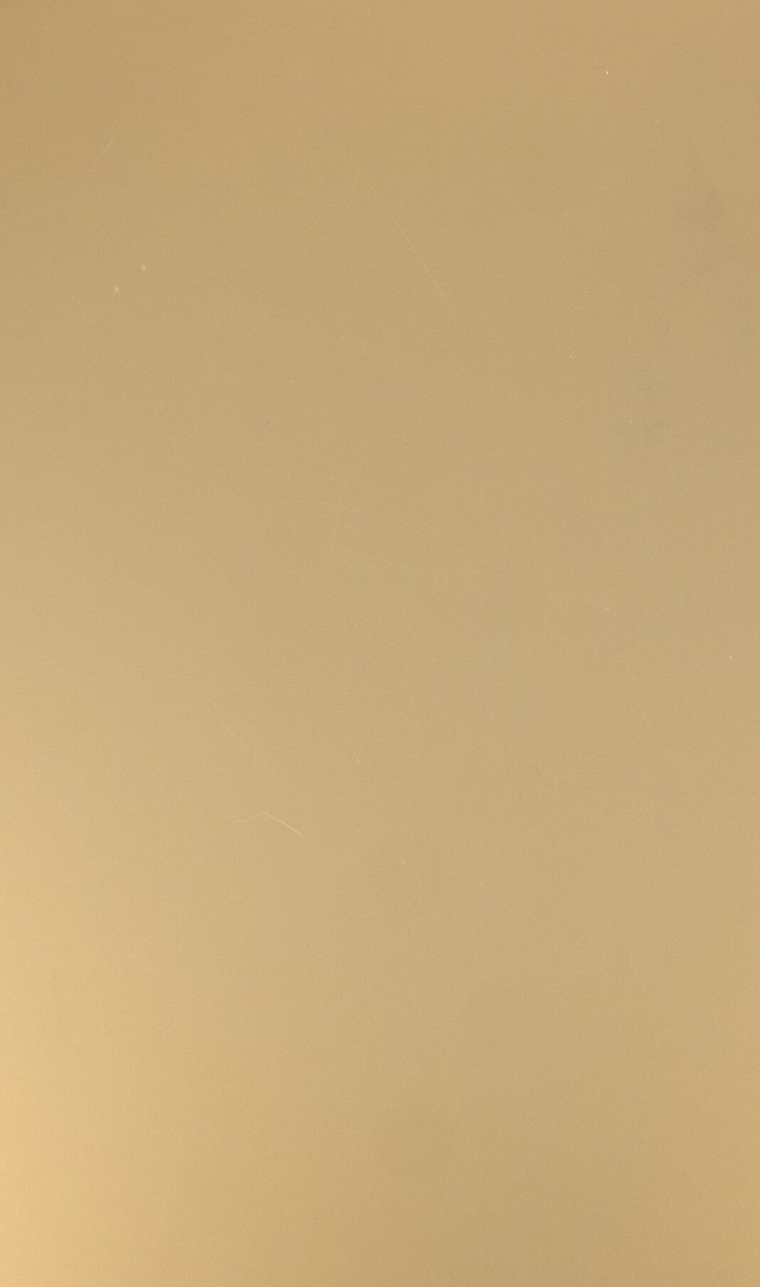 Lioher Light Gold MP Lioher light-gold-mp Light Gold MP