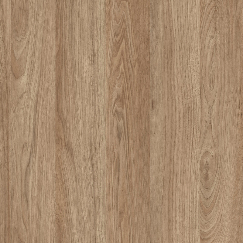 Lioher rosales_4_thumb Designs  