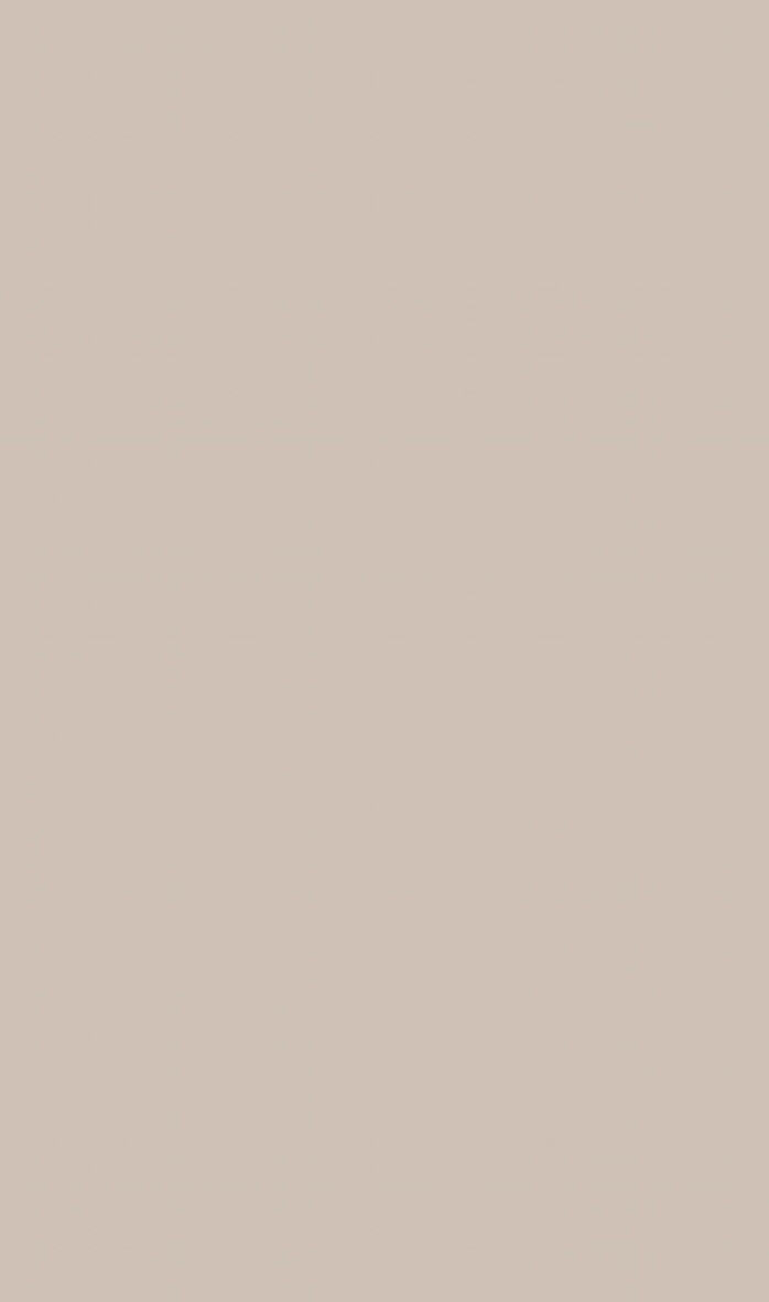Lioher taupe Taupe SM  
